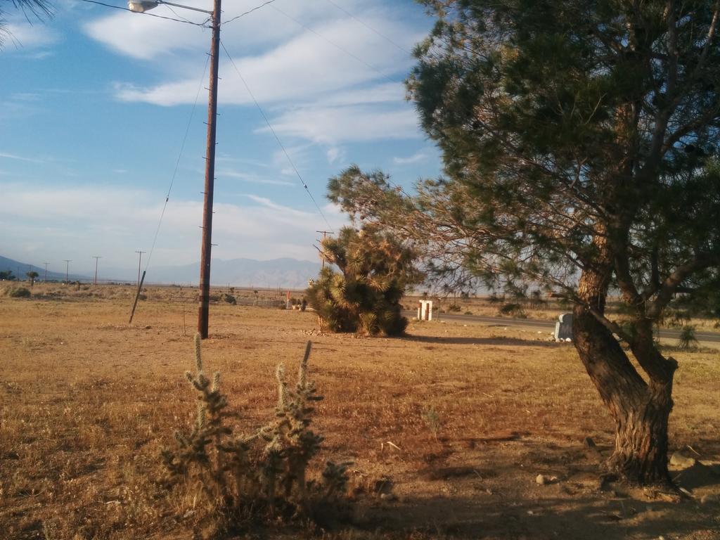 Rustic Oasis Motel Olancha Buitenkant foto